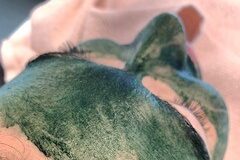 Green Sea Peeling (biopeeling)